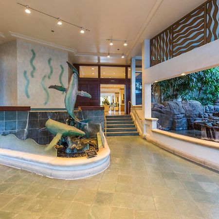 @ Marbella Lane - Oceanview Suite Steps To Beach Honolulu Zewnętrze zdjęcie